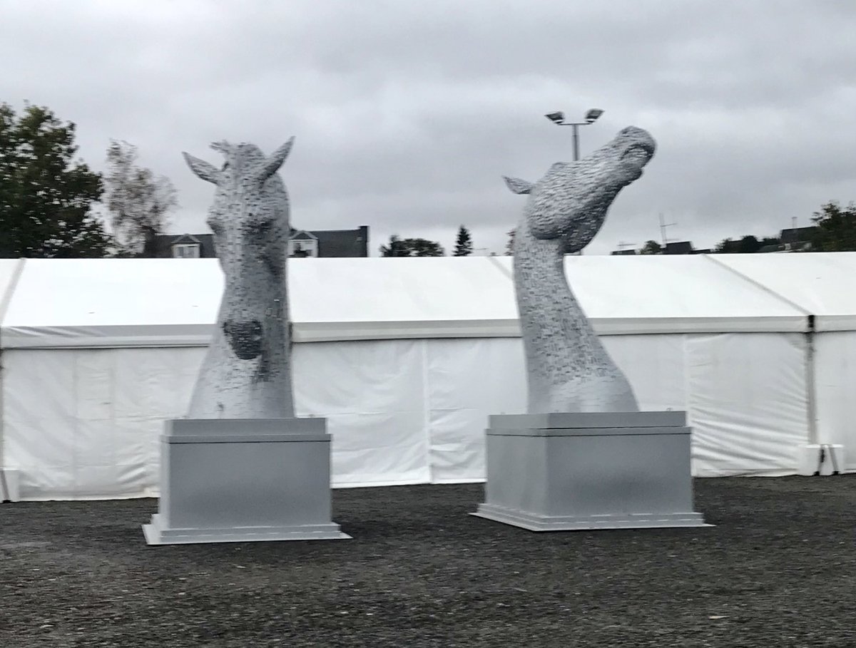 FIONA RIDDELL (@fionariddell) | Twitter