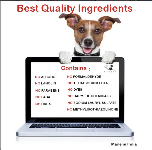 Petveda's tweet photo. Don't Compromise when its your pet skin care products.. 🐶🐶
Choose the right and natural products for pets .🐕 🐱 🐈 🐶 .
.
DM for orders 
ShopNow @amazon @flipkart 
#petveda #compromise #petcare #petshop #petshampoo #petconditioner #petskincare #natural #petproducts #dog #dogs https://t.co/BeRFIsf712