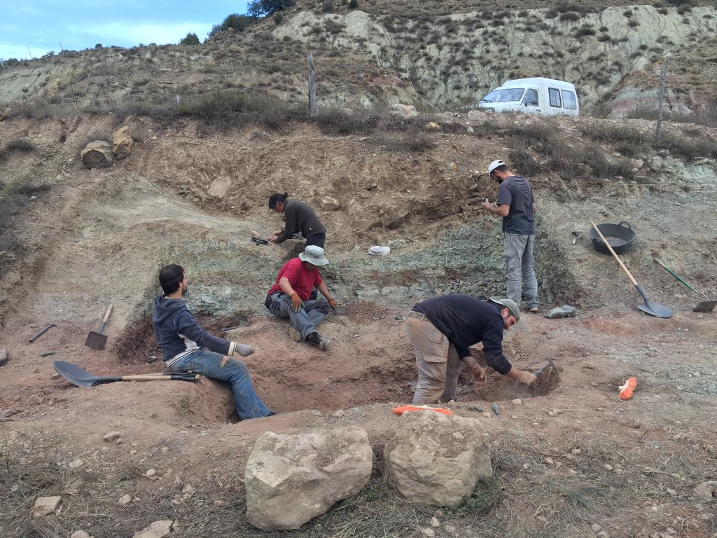 Francisco Ortega (@frco_ortega) on Twitter photo La excavación de El Solanet (#Cretacico Inferior de #Morella) en los papeles: Excavan la masía donde prevén hallar una mina de #dinosaurios elperiodicomediterraneo.com/noticias/comar… <a href="/epmediterraneo/">El Periódico Mediterráneo</a> La excavación de El Solanet (#Cretacico Inferior de #Morella) en los papeles: Excavan la masía donde prevén hallar una mina de #dinosaurios elperiodicomediterraneo.com/noticias/comar… <a href="/epmediterraneo/">El Periódico Mediterráneo</a>