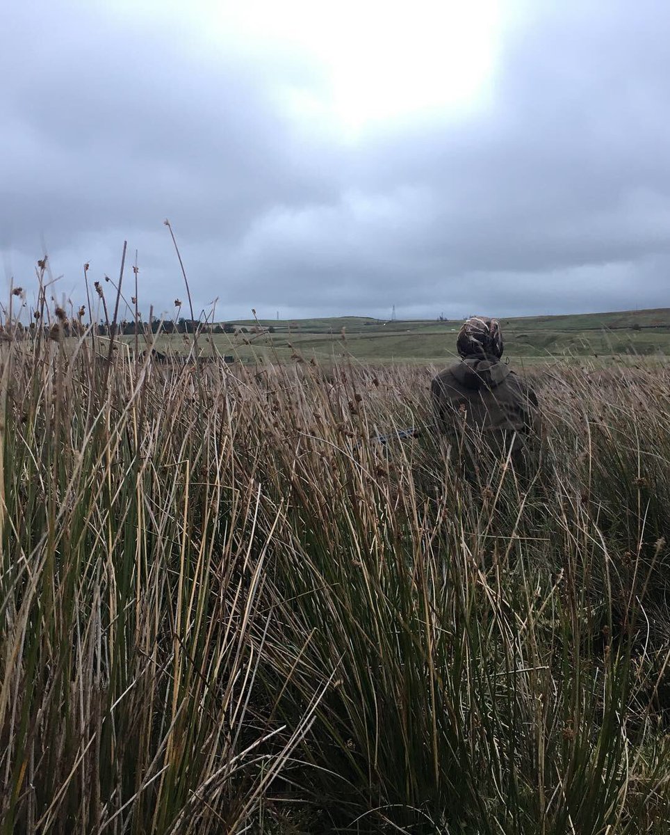 <a href="/NewtonRigg/">Newton Rigg Equestrian</a> students had a lovely duck flight last night. Perfect windy conditions making the teal a real challenge <a href="/EleyHawk/">ELEY HAWK Ltd.</a> 

All game from Saturday &amp; last nights duck flight will be prepared on Thursday in our ‘Game Meat Hygiene’ session @tasteofgame @BritishGame <a href="/BASCnews/">BASC</a>