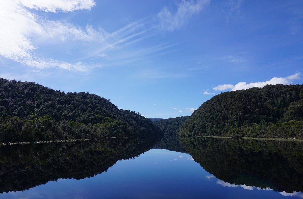 Gordon River World Heritage Area, Strahan, Tasmania. Taken Oct 7 2018.