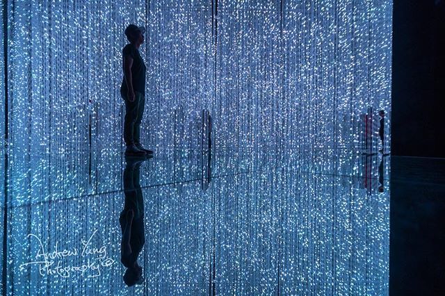 mr_dr3w's tweet photo. The reflection of oneself
#teamlab #teamlabborderless #odaiba #tokyo #japan #lightshow #art #light #led #ledlights #lightanimation https://t.co/jRBy9bVA5z https://t.co/W4oLBPPoQ8