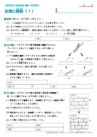 新しい 中 1 理科 プリント 壁紙 おしゃれ トイレ