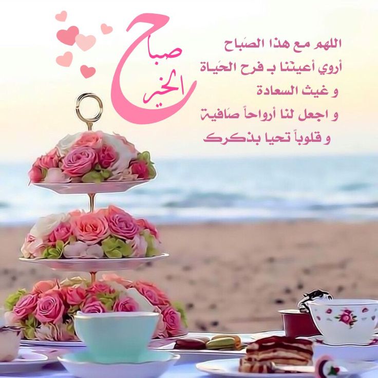صباح الخير ,, صباح التوفيق و العزيمة

#صباح_الثلاثاء
#احتاج_هالحين
#شنو_الي_ودك_تتركه
#ياحظ_من_عنده_منيره
#ياشينك_وانت_سمين