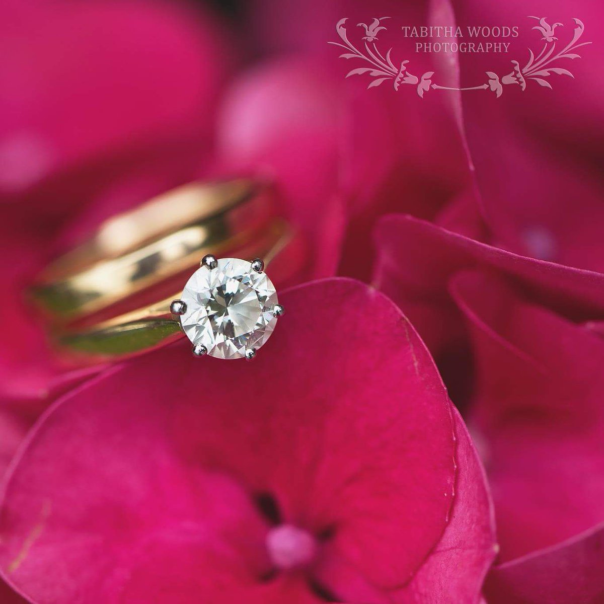 #Love a #weddingring #photo ❤💍
#macro #weddings #wellington #wairarapa #hydraneas #bridalbouquet #Diamond 

#weddingphotographer #wellingtonphotographer
#nzweddings #weddingdetails
#tabithawoodsphotography