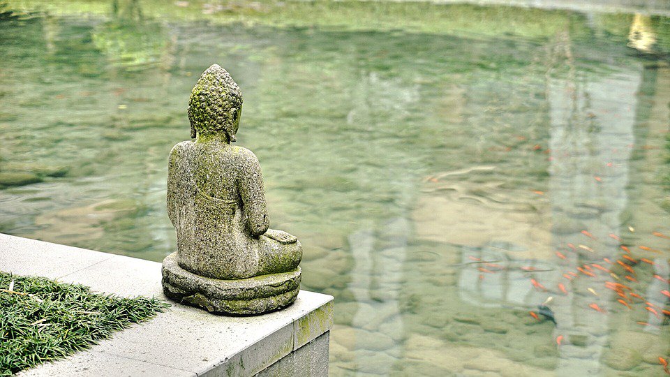 HELEMAAL ZEN
Wie heeft zin een in mindful meditatie op een wel heel bijzondere plek?
Wij hebben nog een paar plekken voor onze sessie op De Kreake​ op donderdag 11 oktober a.s. Deelname kost slechts € 17,50 Opgeven: farmoftheworld.nl/nl/events/care/
#lf2018 #fotw #mindfulness #zen #doemee