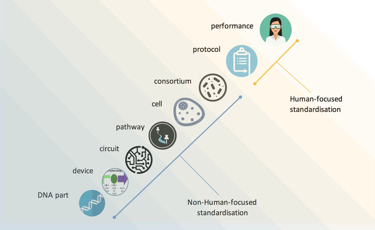 BioRoboost tweet media