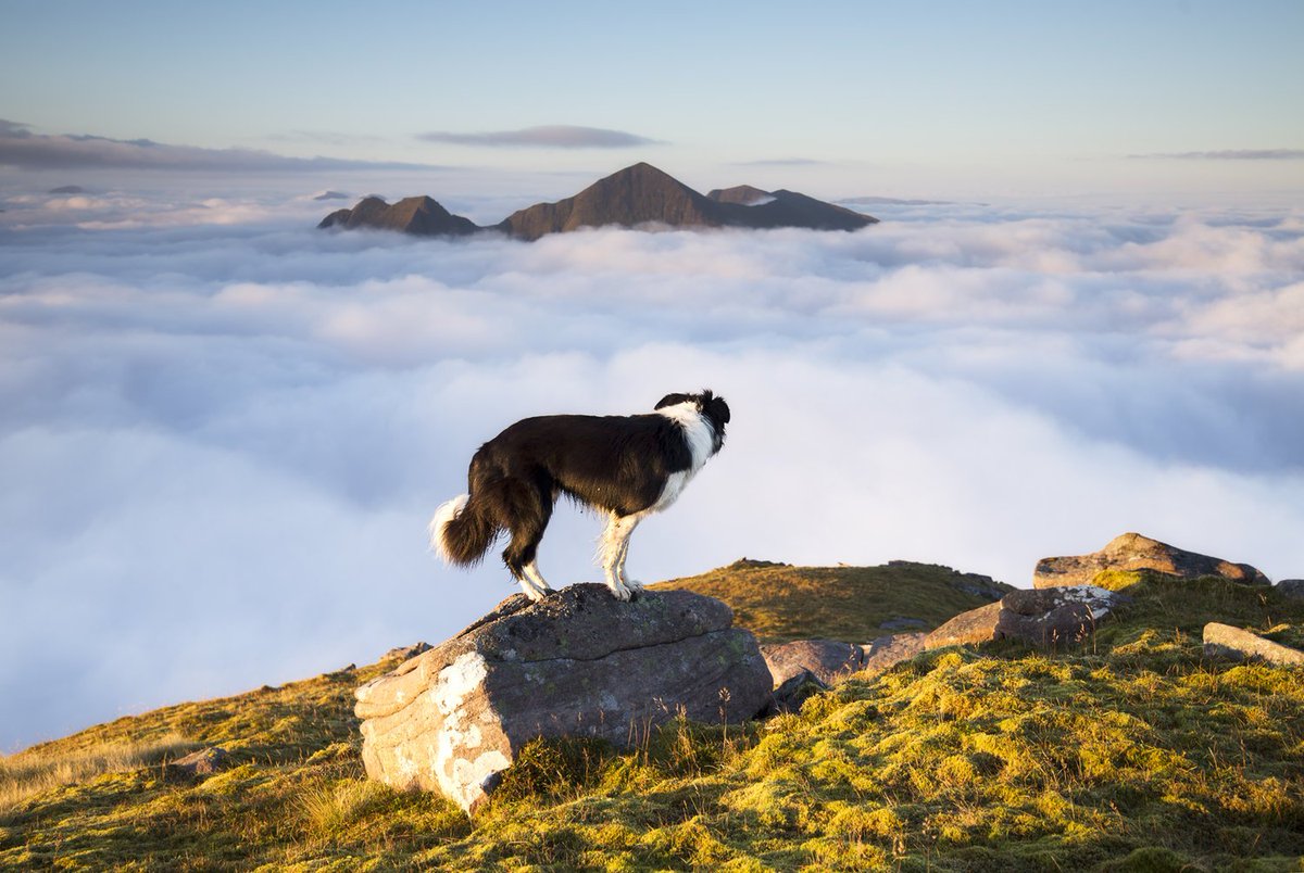 L.Type (@ltypeprints) on Twitter photo 1 DAY LEFT - You still have time to participate in The British Photography Awards. Competition closes tomorrow. Image by Sven Soell - a participant from last year's competition.
Enter the competition today - bit.ly/2M9lZVd
<a href="/GBPhotoAwards/">🇬🇧British Photography Awards</a> #photography #photographers 1 DAY LEFT - You still have time to participate in The British Photography Awards. Competition closes tomorrow. Image by Sven Soell - a participant from last year's competition.
Enter the competition today - bit.ly/2M9lZVd
<a href="/GBPhotoAwards/">🇬🇧British Photography Awards</a> #photography #photographers