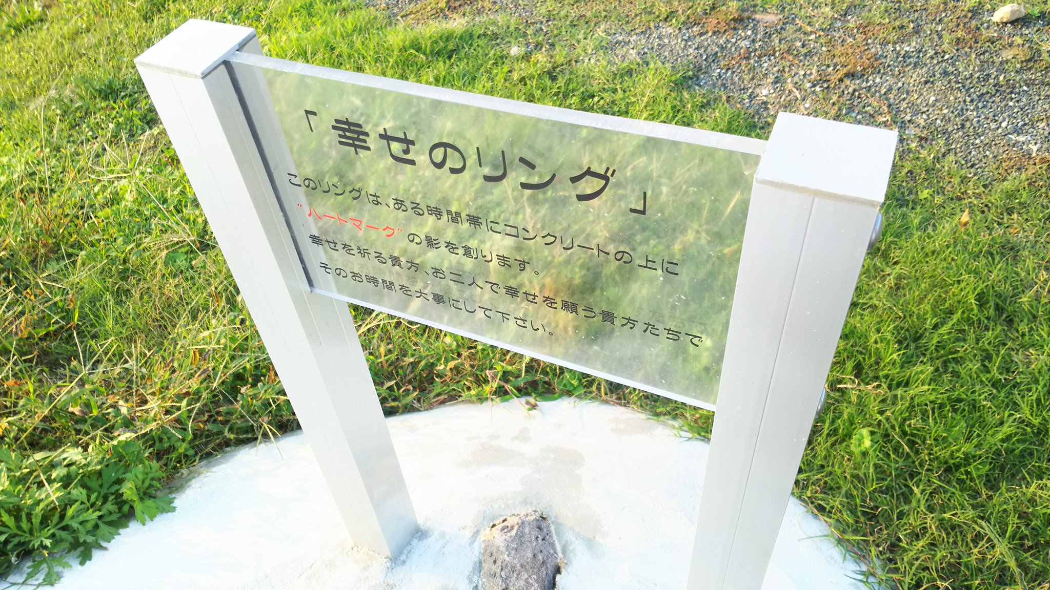 柳山 Twitter Search Twitter