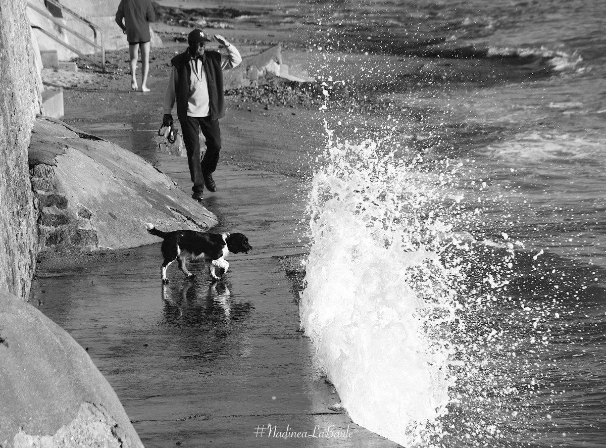 Nad_inLA's tweet image. #photooftheday #Photographie #Pornichet #LoireAtlantique #NadineàLaBaule