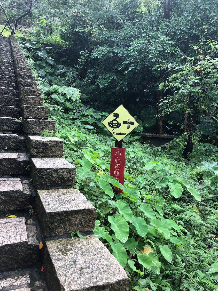 광부도시락 먹어53&amp;
그리고 진과스,,Fucking bug