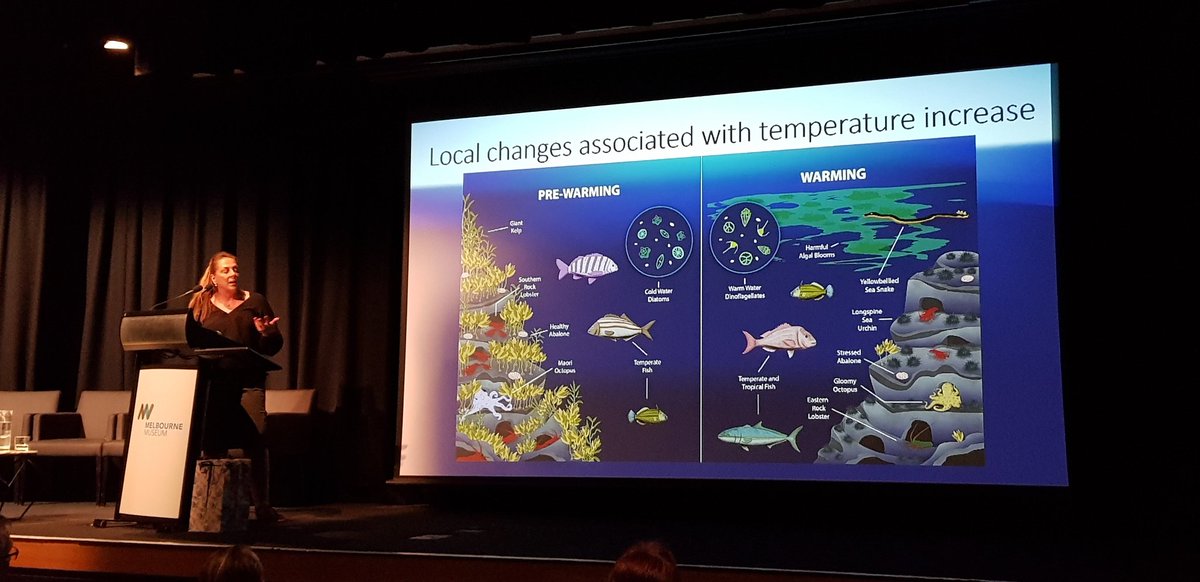 pete_cowman's tweet image. @GrettaPecl fishes are on the move due to #climatechange. Help tracking them with #redmap @AustSocFishBiol #ASFB2018
