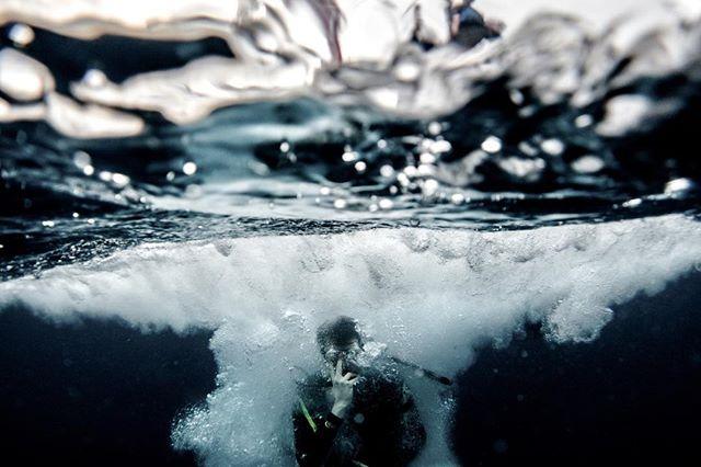 PADI's tweet photo. When we enter the underwater world we feel all the stresses of the day melt away, how do you feel? 📷 @kevingacad 📍 Monad Shoal, Malapascua 🇵🇭 https://t.co/2FTBRSXAr3