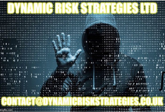 Dynamic Risk tweet media