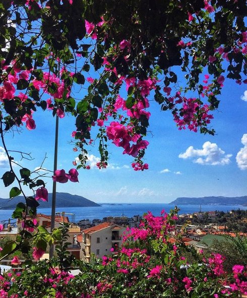 Discover_Antalya tweet media