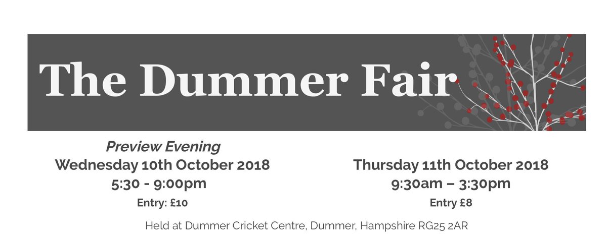 Dummer Fair tweet media