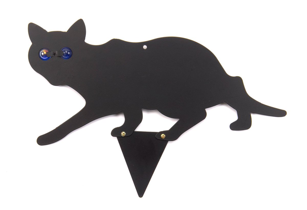 Have you spotted these cat scarers at <a href="/BodiamCastleNT/">Bodiam Castle NT</a> on their October Trail?

Fancy your own set for Halloween? 🐱 Only £11.99!🎃

🖱️BUY: boydsdirect.co.uk/product/cat-sc…