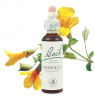 PanaceaK's tweet photo. Embrace 'national face your fears day' with mimulus! This flower essence will help you conquer the irrational thoughts that may stop you enjoying your day
#faceyourfears https://t.co/UI73lmMpgs