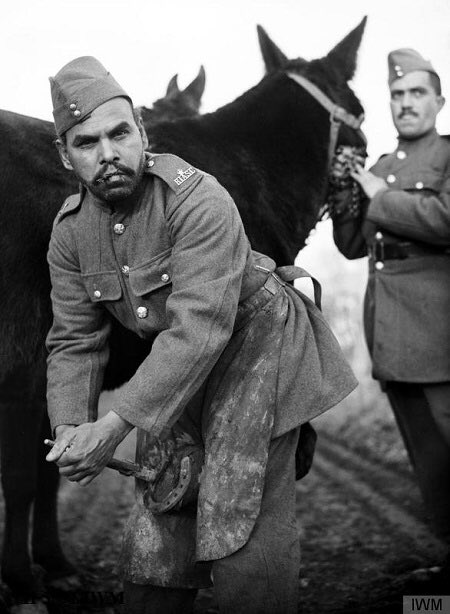 book a werewolf among