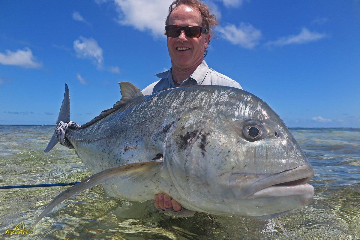 flycastaway's tweet photo. #GT supreme! #ProvidenceAtoll delivers again &amp; again &amp; again... C'mon there is not much you wouldnt give to get your hands on a #Geet like this! #TestedTough #WildCoolers https://t.co/z3s9LCHRHK