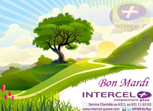 INTERCELPLUS's tweet image. Agréable Mardi à tous. Passez une très bonne journée. 
#INTERCEL Plus, Simplement plus