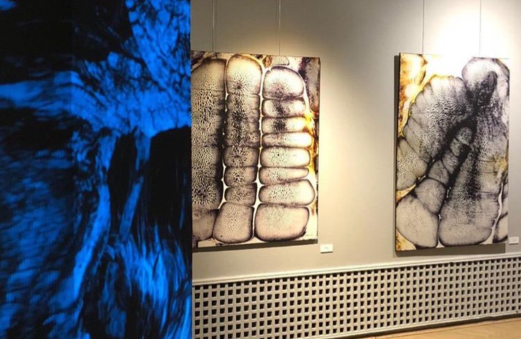 IAED'13 mezunumuz Ecem Dilan Köse'nin Mevcudiyet isimli modern sanat sergisi, Ankara Türk Amerikan Derneği Emin Hekimgil Sanat Galerisinde 31 Ekim tarihine kadar gezilebilir.