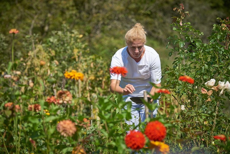 SloveniaInfo's tweet photo. Slovenia - European Region of Gastronomy 2021 
💚a great green country in terms of gastronomy, sustainable tourism, food education, and quality food supply
#gastronomy #igcat @IGCAT2 #culinarytravel #ERG https://t.co/QsXDwFbWpC