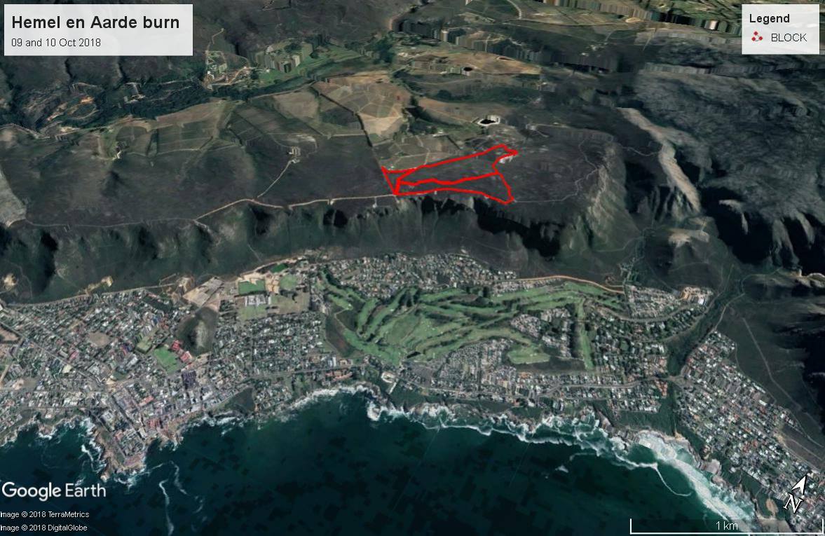 WOF-Kishugu JV tweet media