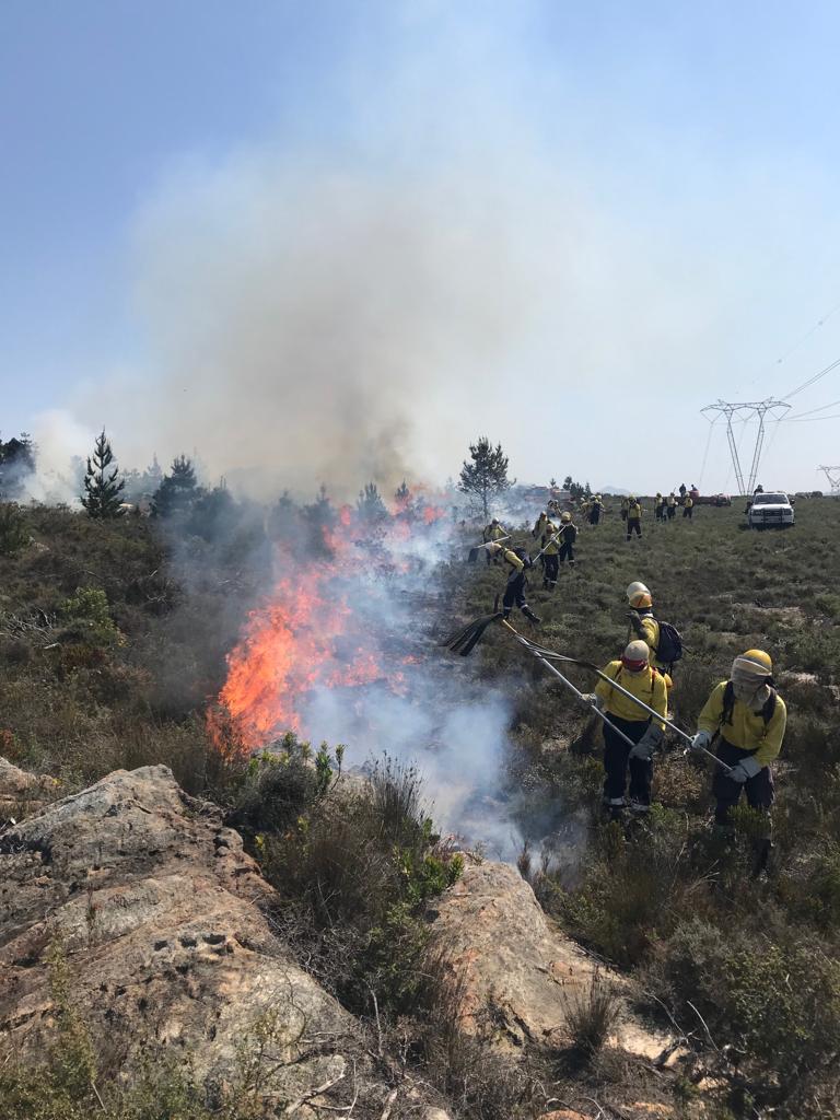 WOF-Kishugu JV tweet media