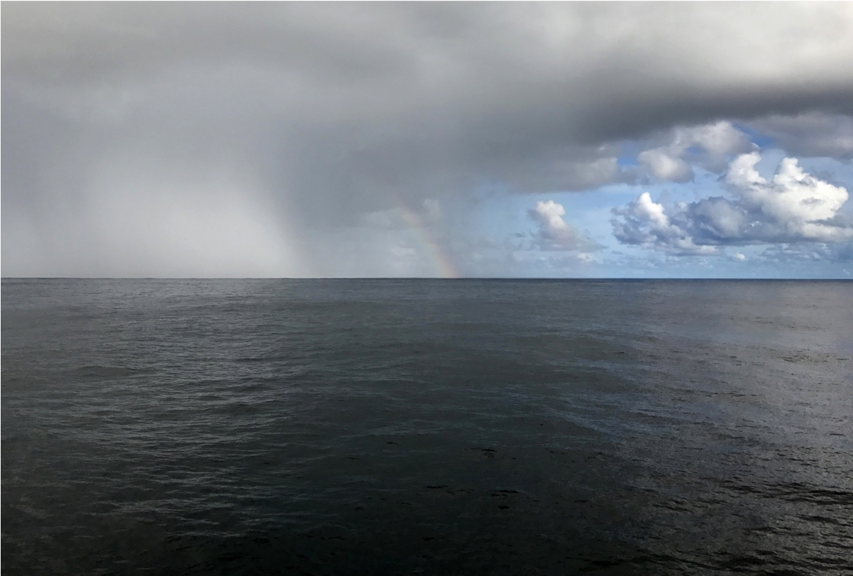 ird_fr's tweet photo. #GIEC : Arona Diedhiou IRD @IGE_Grenoble a collaboré au rapport @IPCC_CH, en particulier sur les impacts d’un #réchauffement global de 1,5°C. Il nous alerte des conséquences irréversibles sur les #écosystèmes et les êtres #humains si rien n'est fait !  👉https://t.co/eQ2nWYoj2a https://t.co/VRdLiamQBB