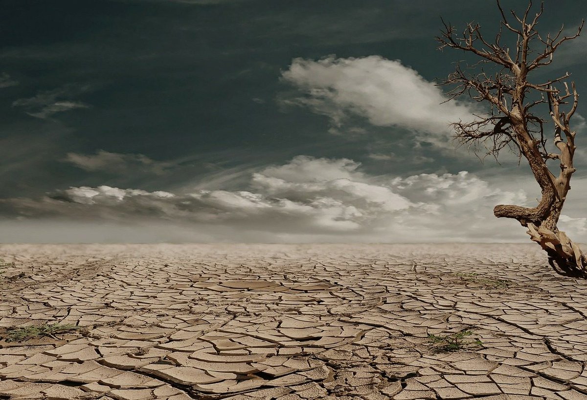 ReteClima's tweet photo. #ReportIPCC sul Riscaldamento Climatico di 1,5 °C: rischi climatici enormi, i prossimi anni sono i più importanti della storia
https://t.co/fxalXmcQQZ 
#ClimateChange #ipcc #riscaldamentoclimatico https://t.co/rPDB7hIfeL