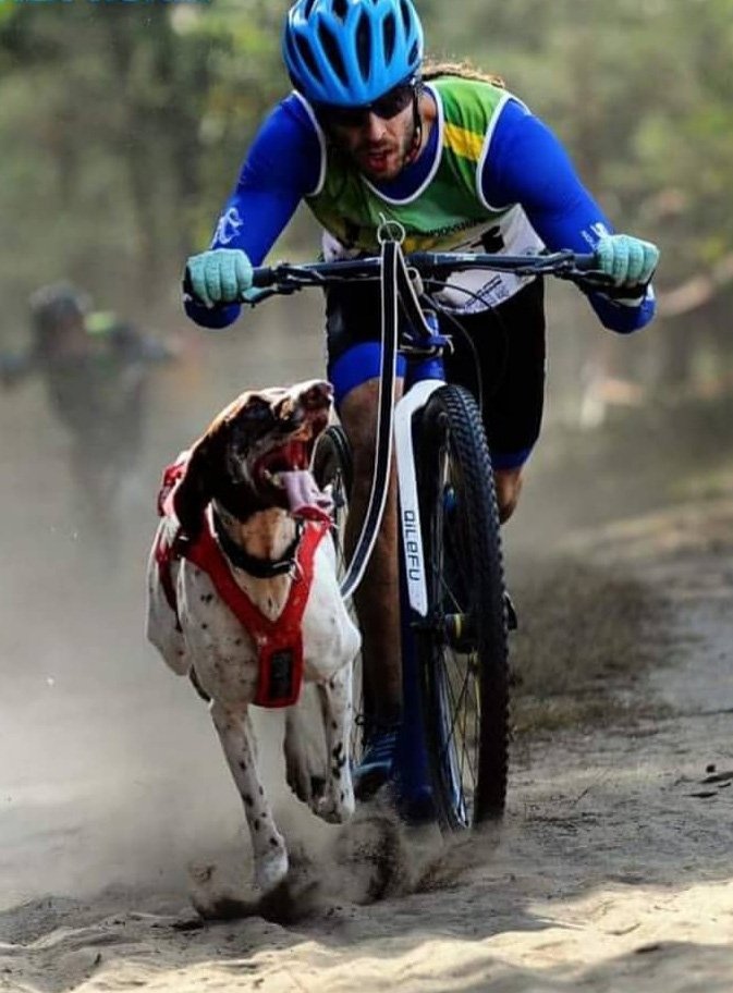 rfedinv's tweet photo. Buenos resultados para la selección #rfedimushing tierra:🥇para Victor Carrasco (#bikejoring) y Enrique Vilchez (#scooter), y🥉 para Olga Alvarez (#canicross) en el primer Campeonato del Mundo de #mushing de la ICF: https://t.co/4DySixMoOZ. https://t.co/OnvOKSN1sc