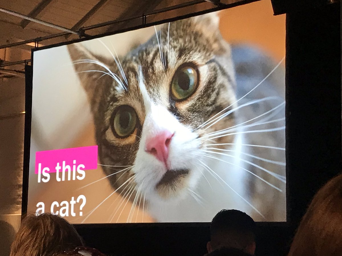 hanakimsays's tweet photo. When @twitnitnit talks about #AI and uses cats as an example ❤️ #datascience #technology #tut18 https://t.co/KT96o0mZ88