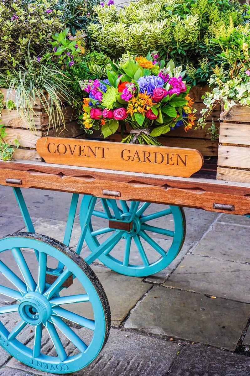 Gorgeous flowers ⁦<a href="/CoventGardenLDN/">Covent Garden</a>⁩ by ⁦<a href="/StockFlorist/">Stock Florist</a>⁩ ⁦<a href="/FleursdeVille/">Fleurs de Ville</a>⁩