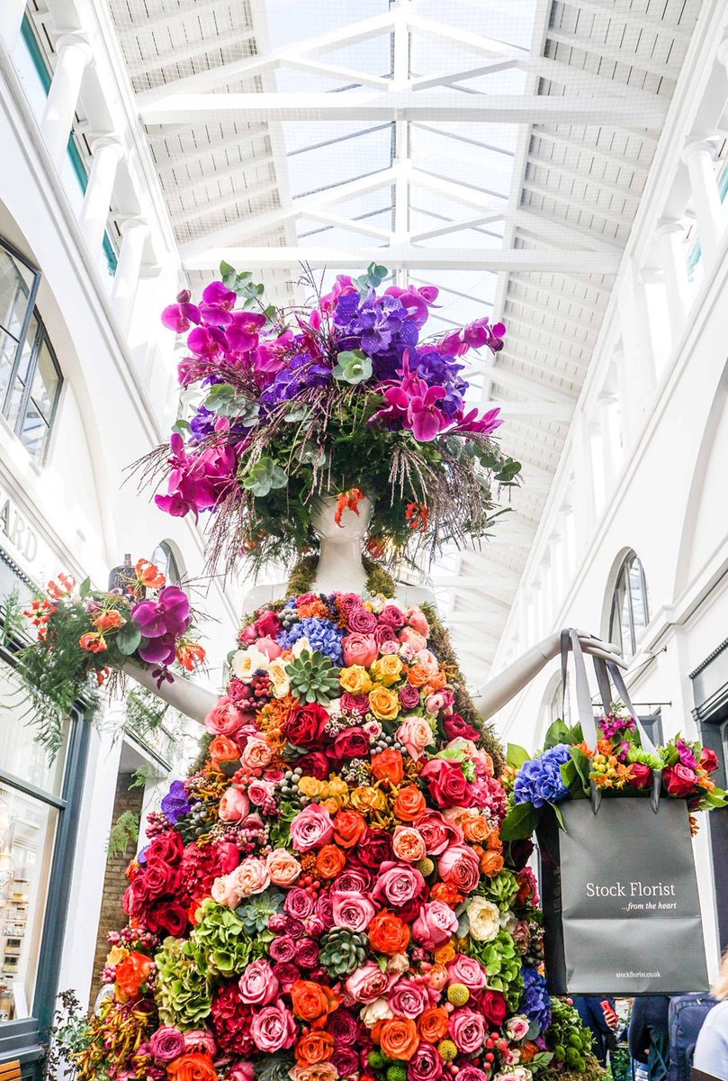 Florista by ⁦<a href="/StockFlorist/">Stock Florist</a>⁩