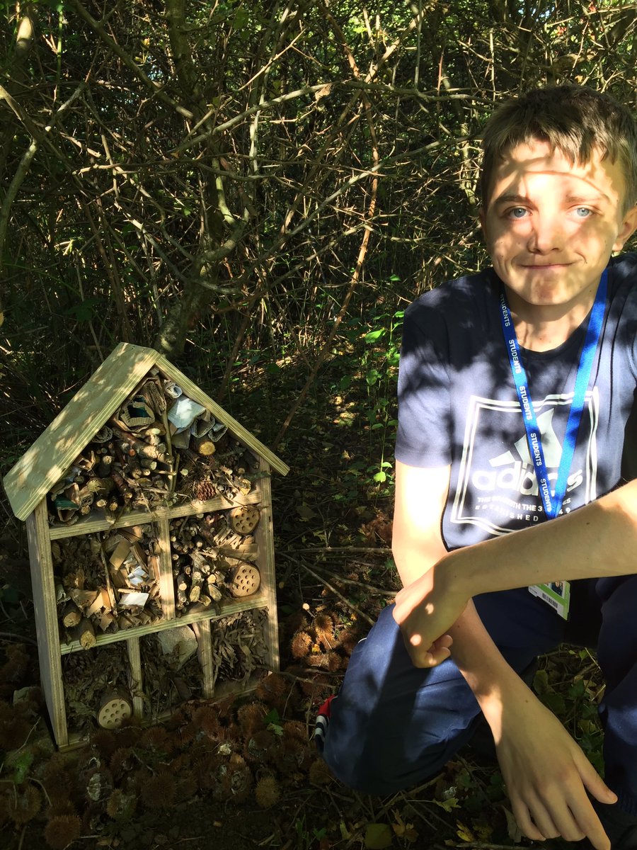 CymoeddILS's tweet photo. E1 Personal Progress have made the Hilton for bugs 🕷🐛🐜 #bughotel #5staraccommodation @CYCVocAccess @ColegyCymoedd https://t.co/IbsDOTUcow