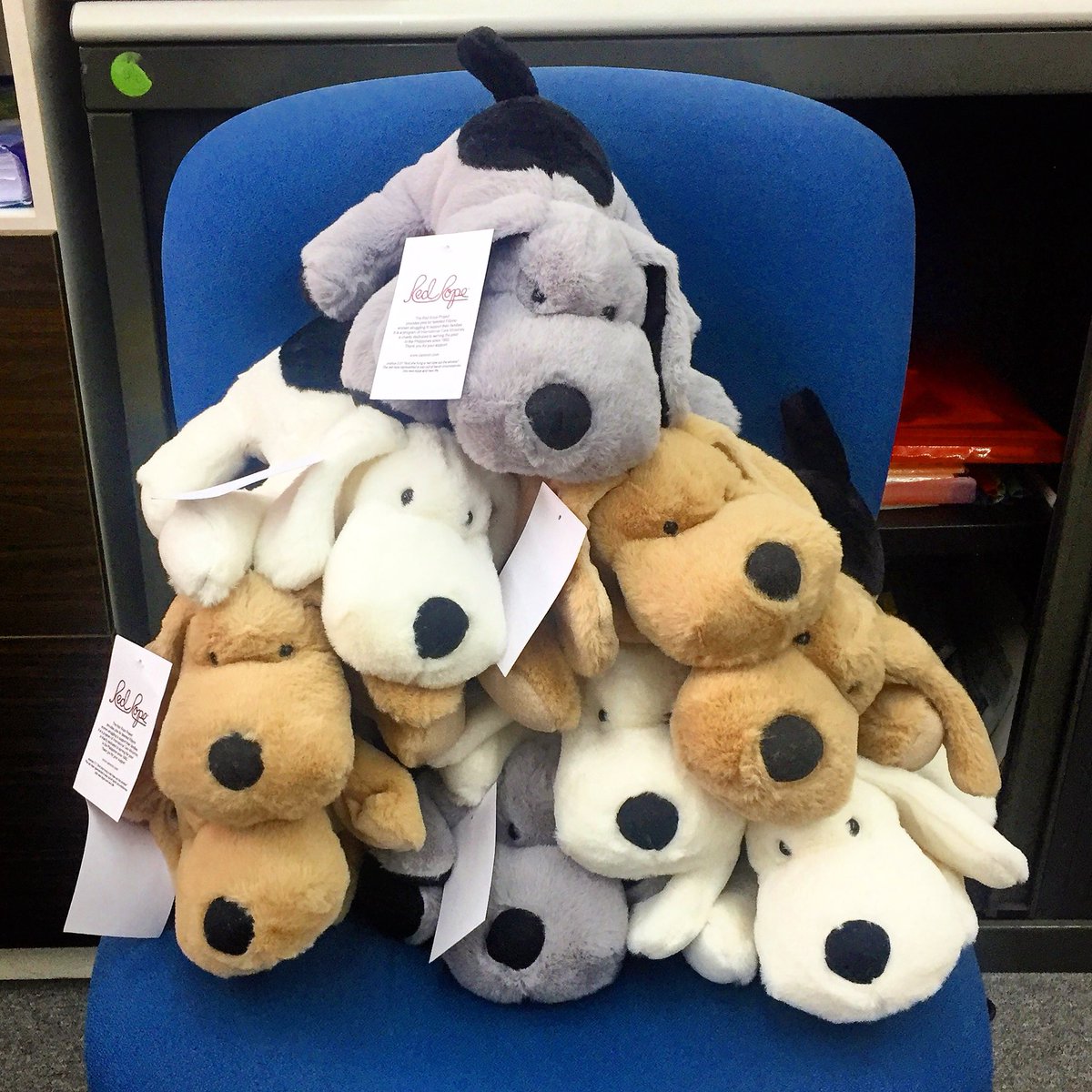 The puppies have arrived! Every year, the #RedRopeProject provides jobs for talented #Filipinowomen to support their families. These puppies are sold at the banquet to provide meals for meals malnourished children.
#intlcareministries #ICM #ICMbanquet2018 #mealsforthemalnourished