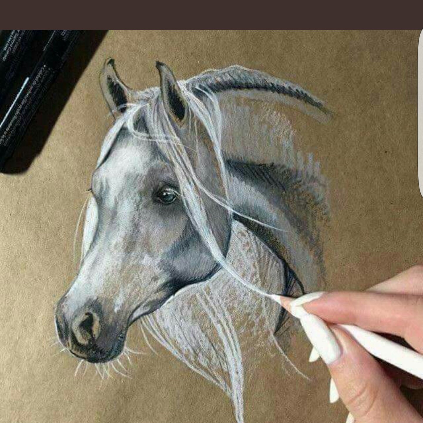 Лошадь пастелью сухой