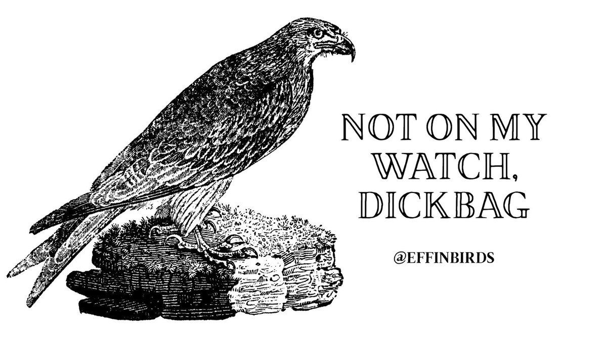 EffinBirds's tweet photo. https://t.co/glk0PLaDCp