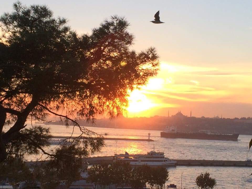 Durgun sahilde sessizce süzülen gemi misali,                                          
Zaman geceye kavuşma vakti sanki
Kızıllanmış, yorgun günün mavi anları,                    
Son kanat çırpışıdır belki de  batan güne