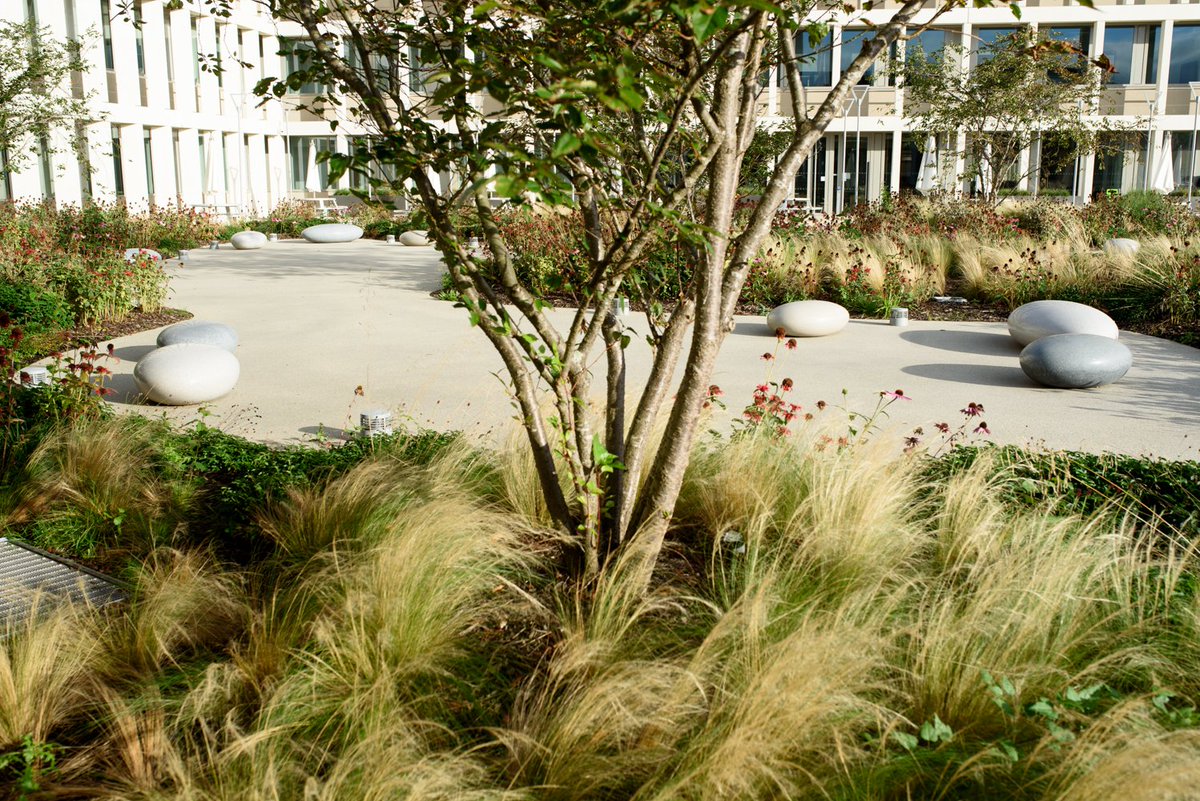BarrellSculptor's tweet photo. Pico Pebble Seats at the Cambridge Triangle. #PebbleSeats #outdoorseating #landscaping The sculptural seats add beauty and fun to a space designed as a place for hardworking staff to relax. https://t.co/WDSWoSKve7