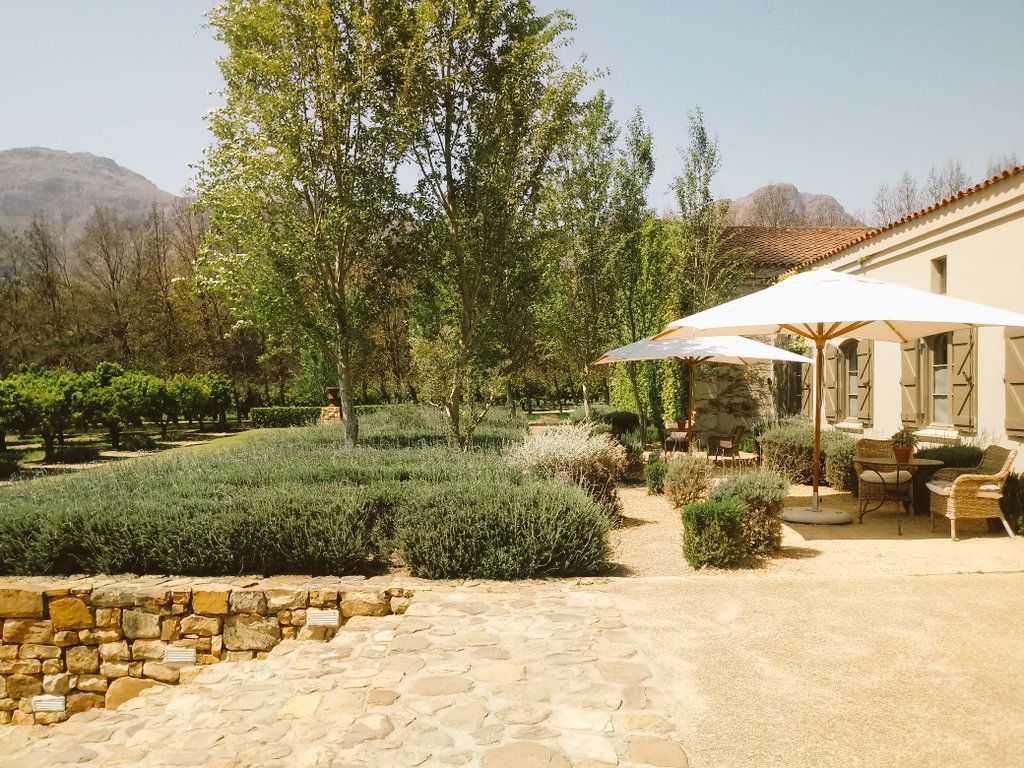 lolswine's tweet photo. The weather is still warm and the wine is waiting for you! 
Why not try a different wine experience? @waterfordestate offers an array of tastings and wine experiences, both in and outside of the Tasting Room. Visit https://t.co/LHJdi55Jhq to learn more 🍷 🌞 #WaterfordExperience https://t.co/GfWP7i90ML