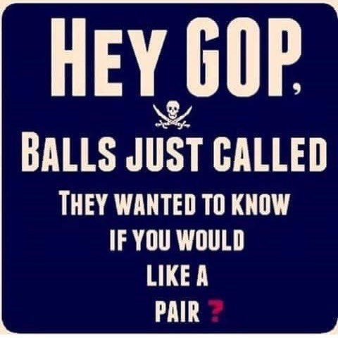 OBXHippieChick's tweet photo. #GOPBastards need spines, backbones, integrity, moral compasses, consciences, a clue...
#NoGOP2018
#FuckGOP
#FuckTrump
#VoteBlue #FlipItBlue https://t.co/FH8mFCXtiq