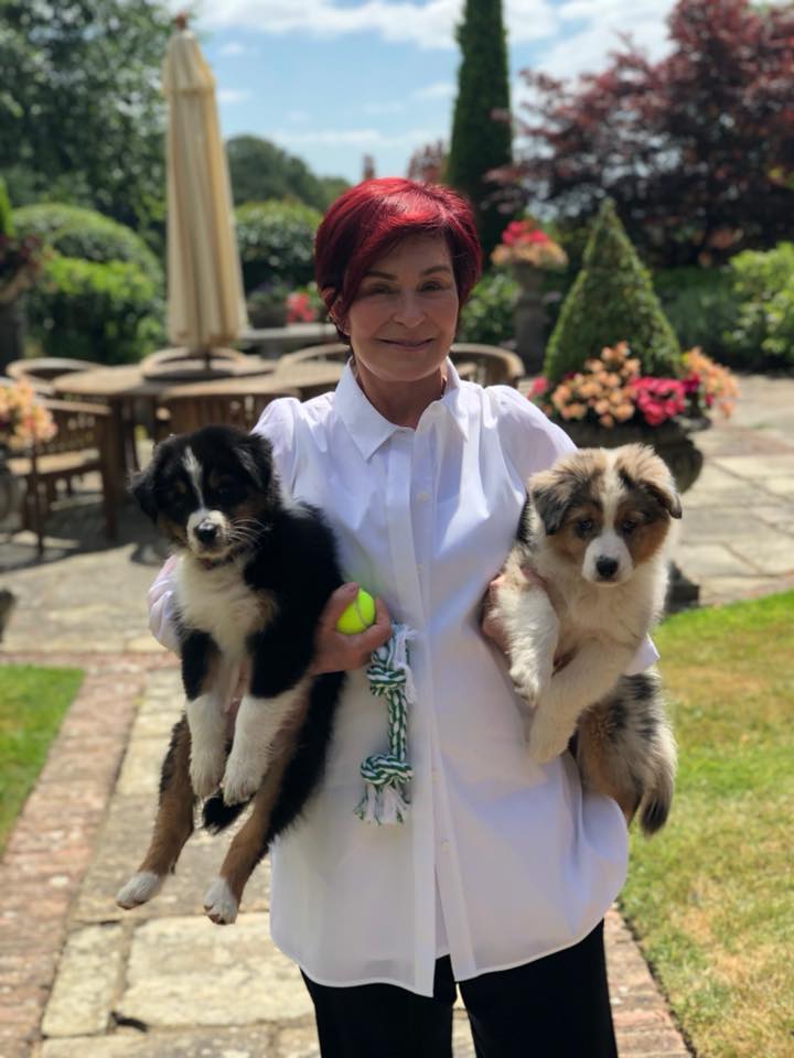 (^^)/ Happy Birthday  Sharon Osbourne!!!!! 