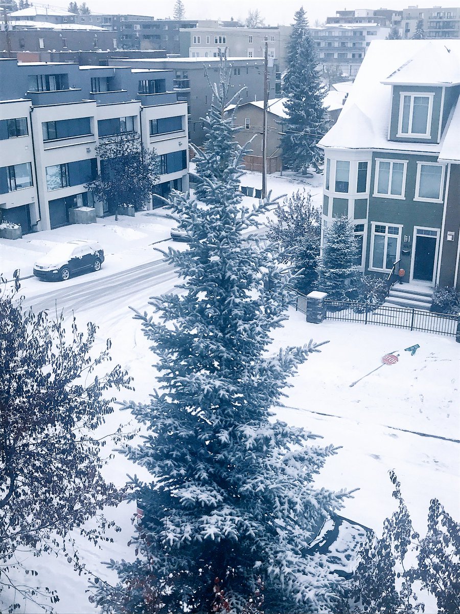 CoryColleen's tweet photo. Stop sign down on the NE corner of 28 Ave SW heading west at 16 St SW @cityofcalgary @yyctraffic #yycroads https://t.co/OBn1u7z5i5
