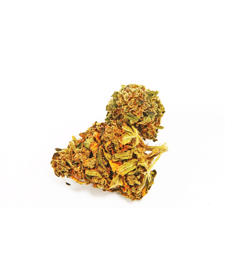 itShopAz's tweet image. SHOPAZ.IT bit.ly/2pJ7E5h
 Pinapple Kush