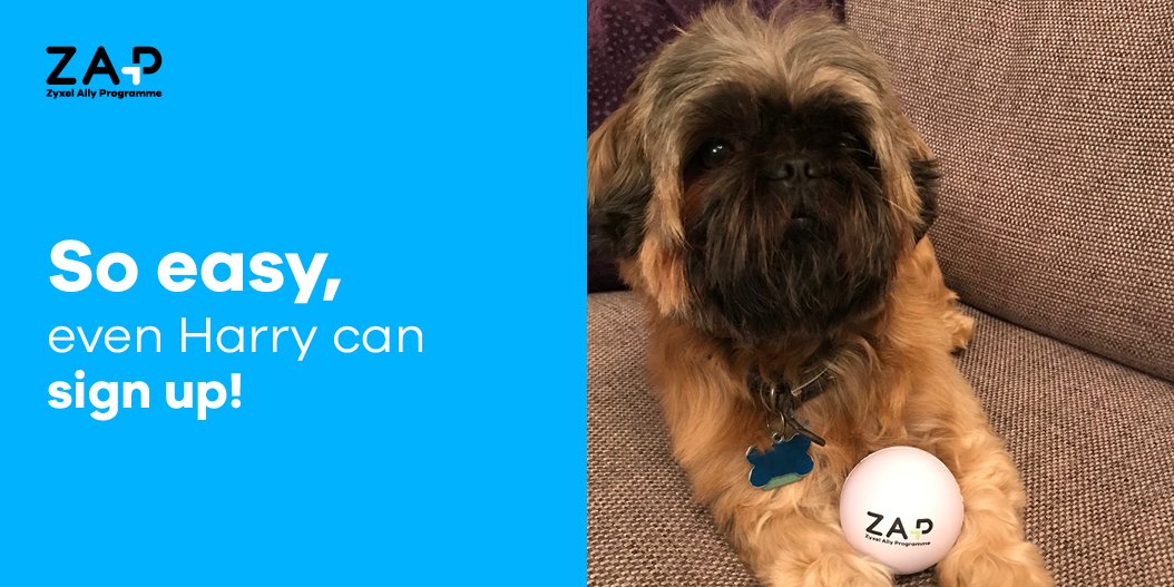 zyxel_partner's tweet photo. The Zyxel Ally Programme - So easy, even Harry can sign up! #dogsofzyxel #dogsoftwitter #dogsofinstagram #ZyxelZAP https:/partner.zyxel.eu https://t.co/VJXKSxdAWI