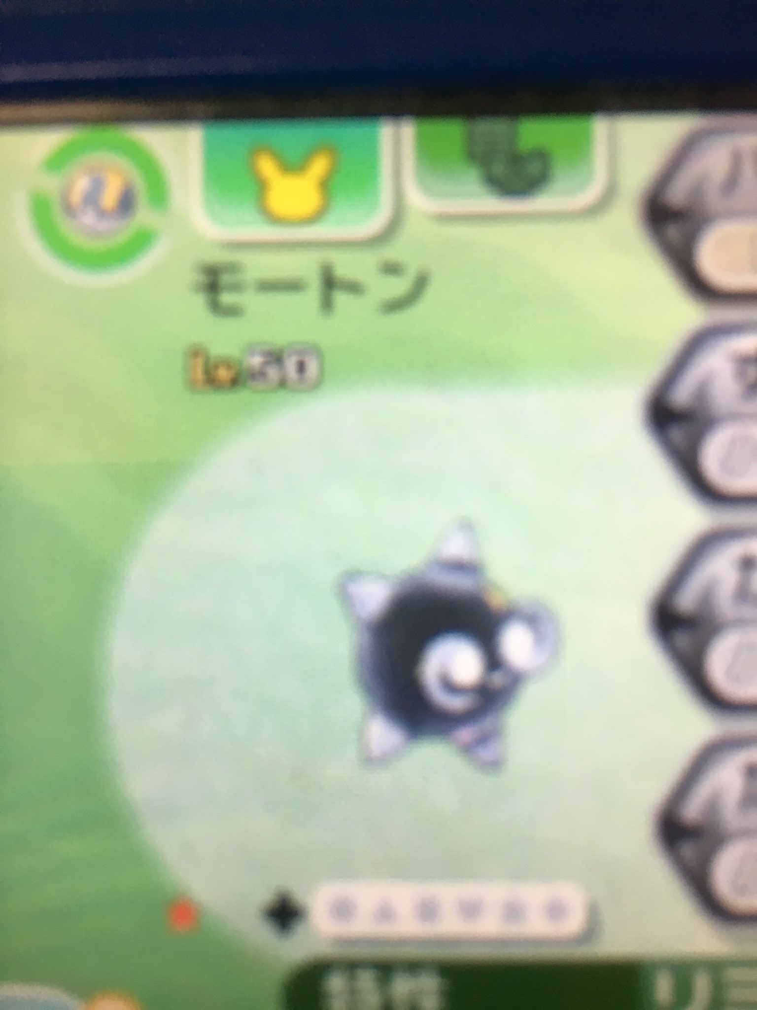 تويتر ゼロ クッパ على تويتر コクッパカラーのメテノ3 モートンとロイ コクッパ メテノ ポケモン ちなみにモートンは オレンジのメテノの色違いです 国際孵化でゲットしました T Co 7efk5adb8n