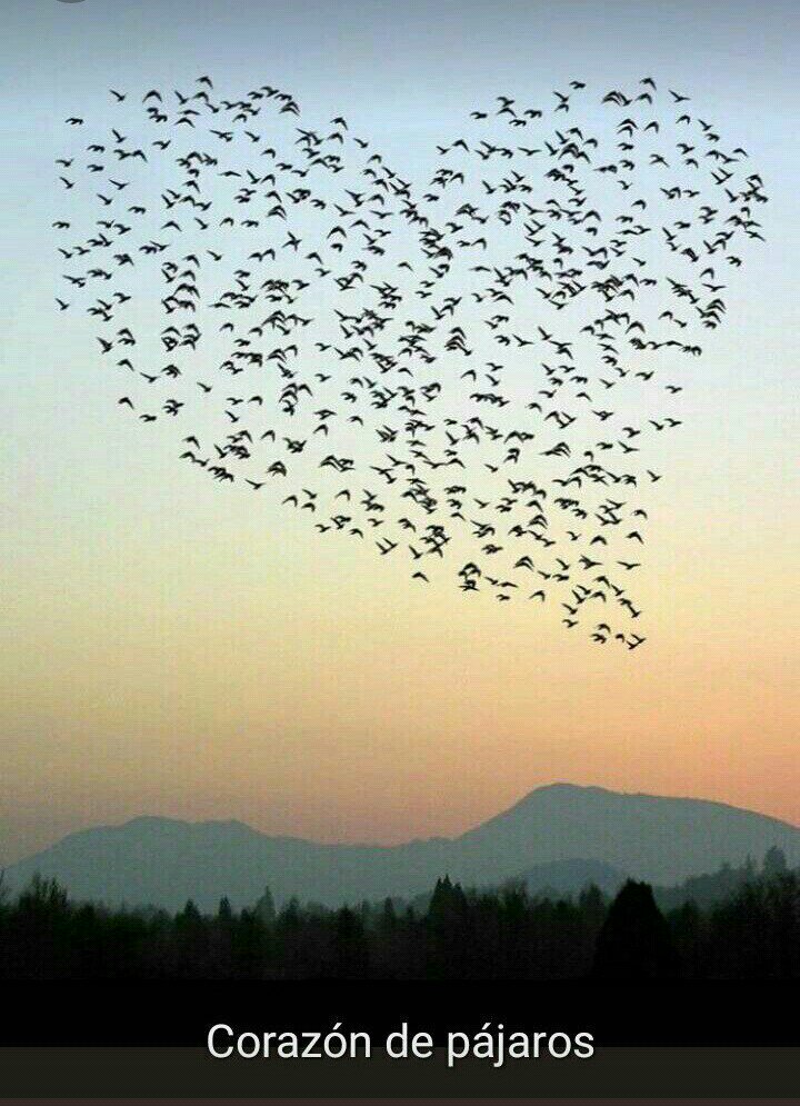 Holaa ! Buenas tardes ,os deseo una feliz tarde otoñal para mis seguidor@s🌻🌿🌼🍂🌺🍁🌹🌿🌼🌾🌻🌾🌼🍂
A disfrutar de la tarde ..por aquí está muy buen tiempo ⛅🌞