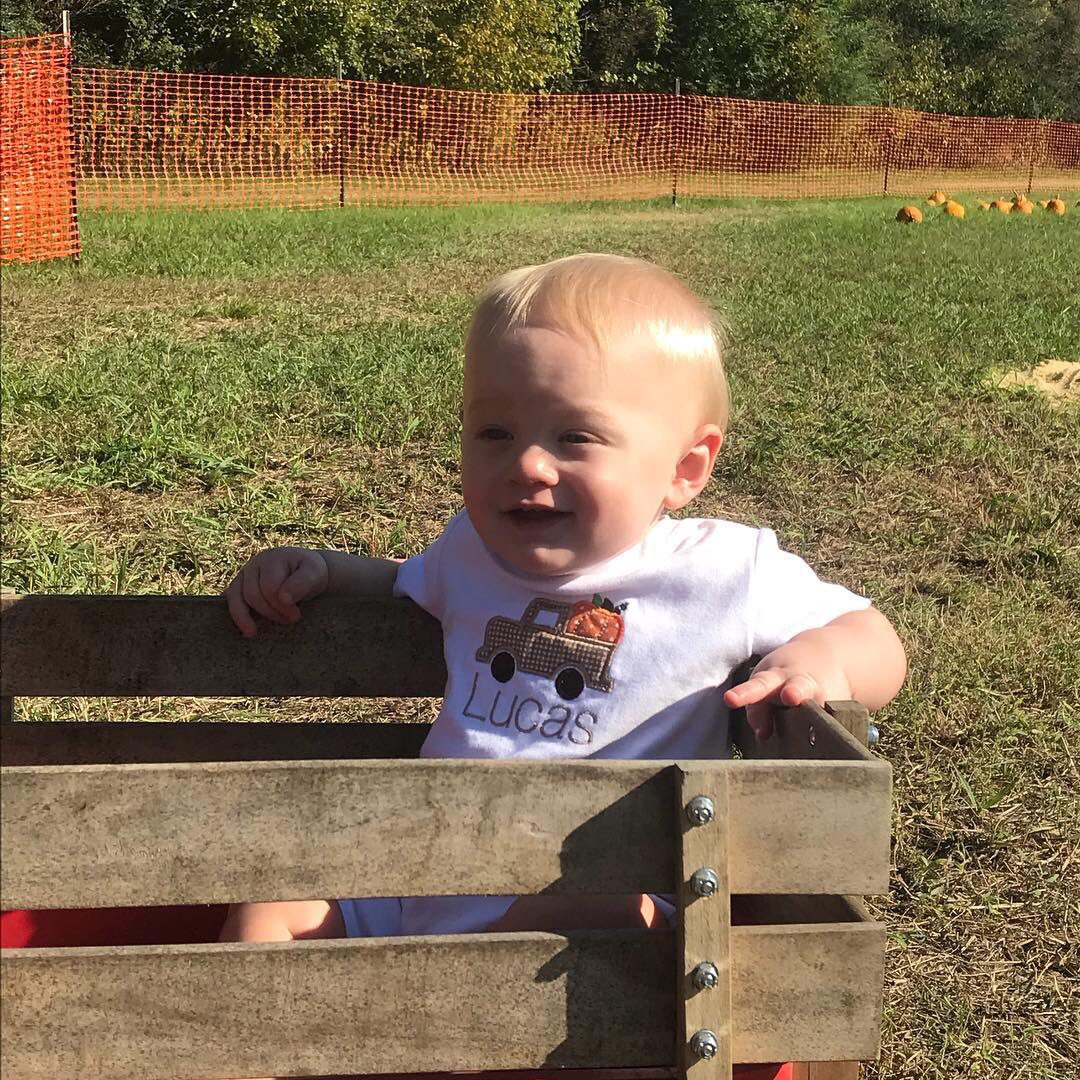 jake metcalfe tweet media